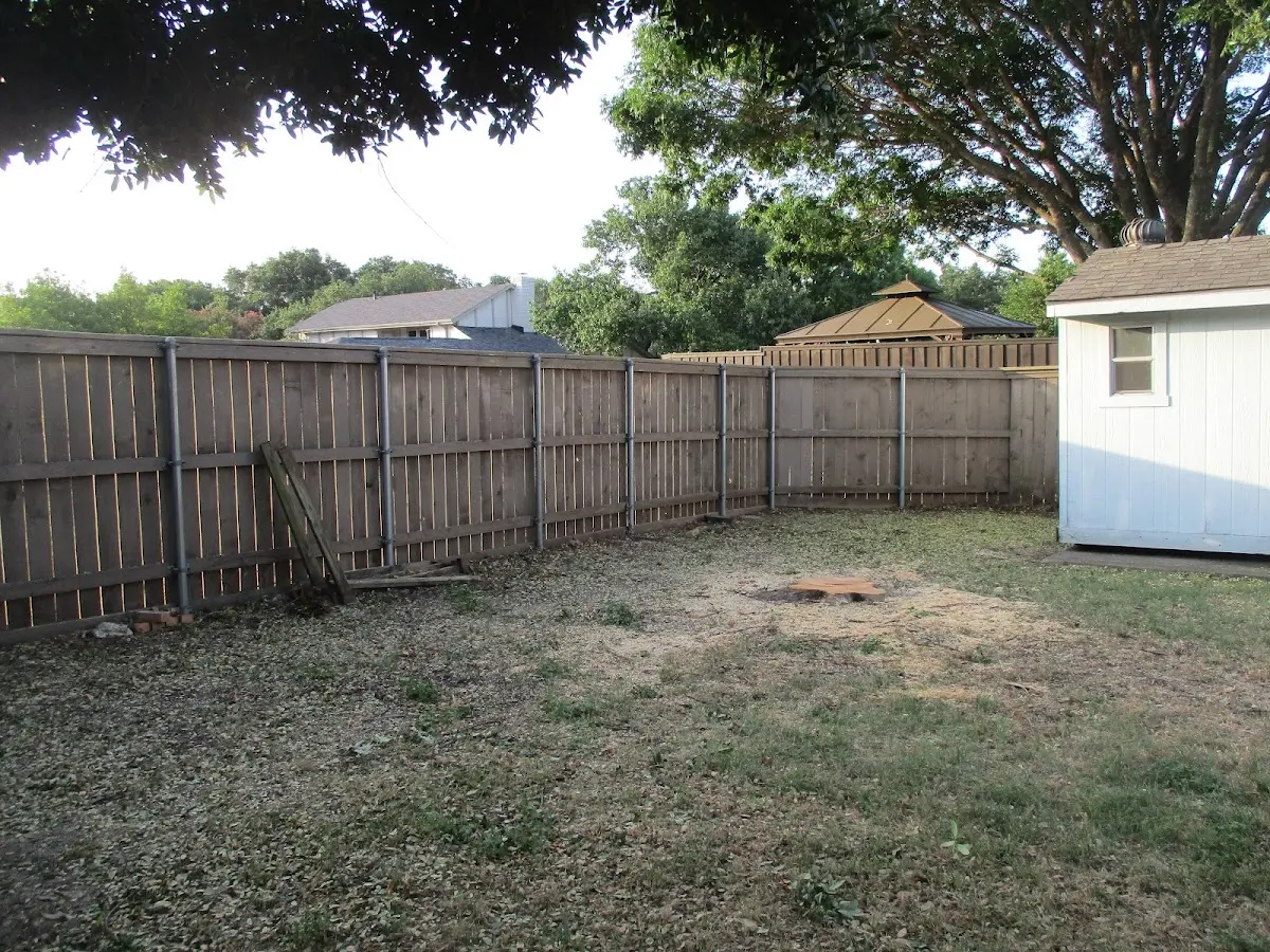Cleared yard after professional tree removal in Indian Lake Estates