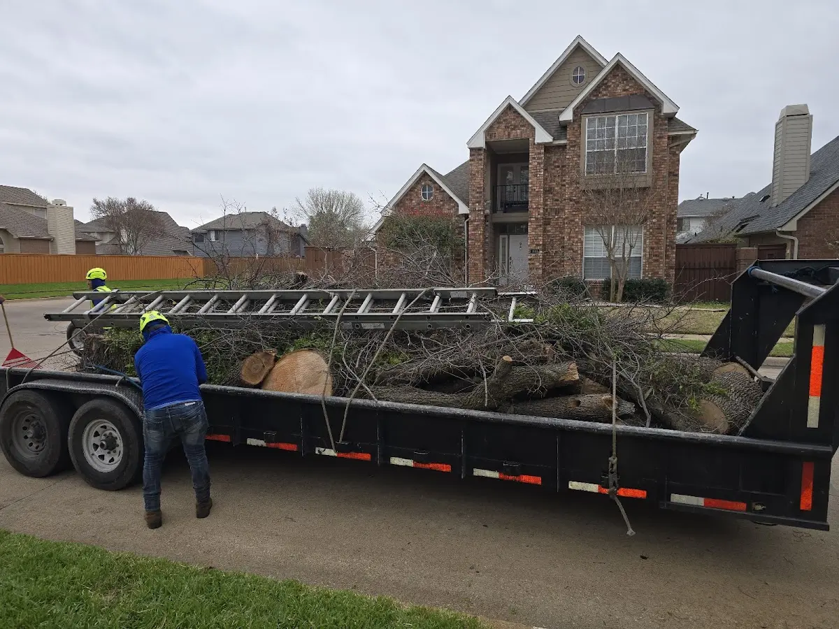 Expert Crown Reduction with proper safety equipment in Indian Lake Estates